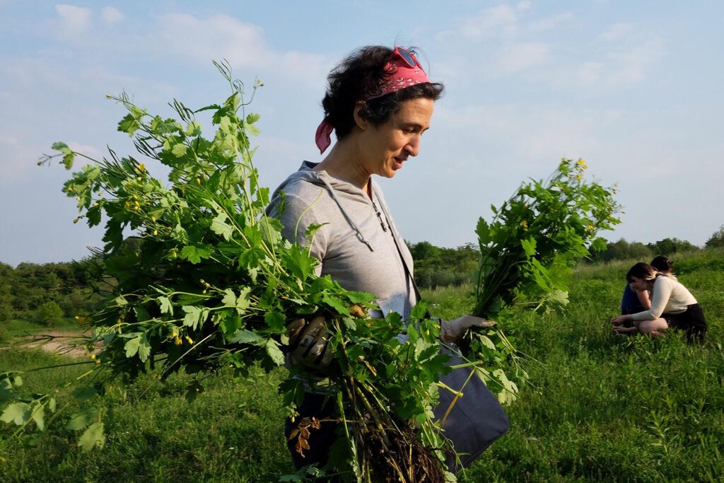 whatsapp image 2019 05 26 at 5.07.32 pm